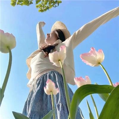 茶乡花正开