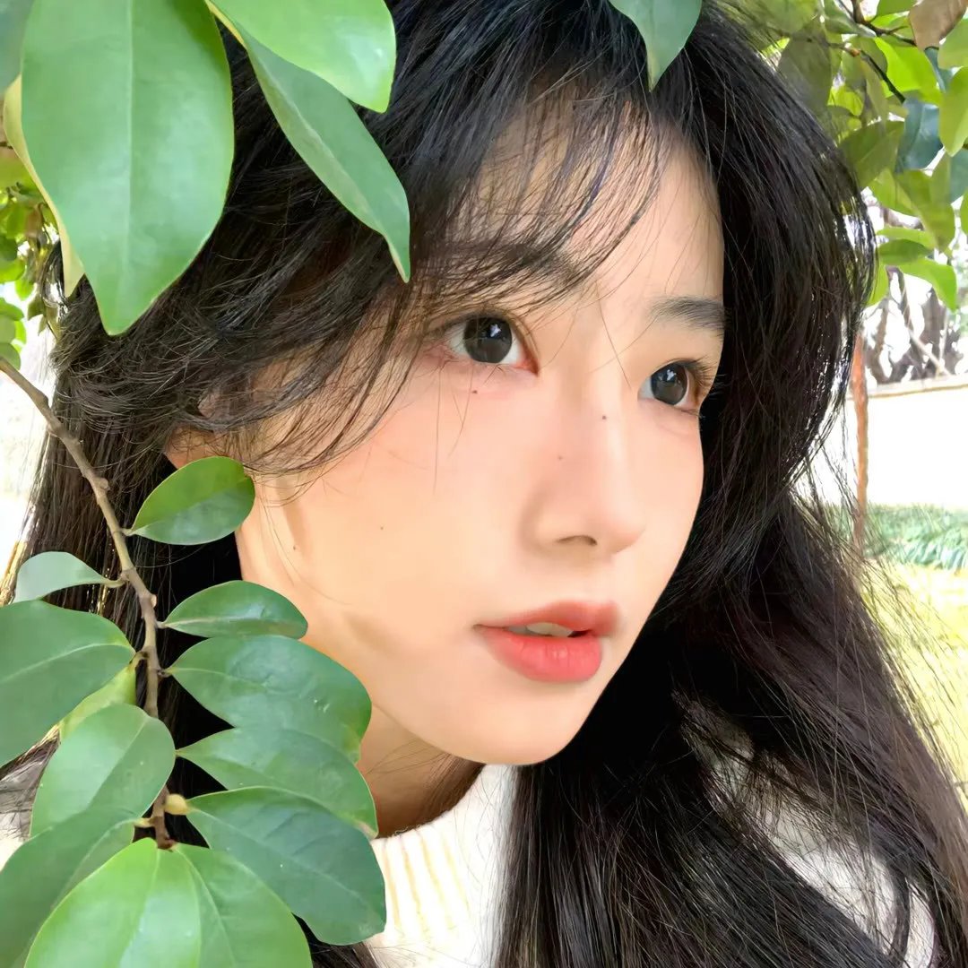 屌丝女士第二季